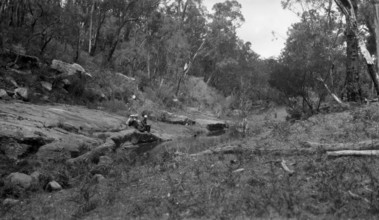 Australian bush scene, c1900s. Creator: Robert Augustus Henry L'Estrange.