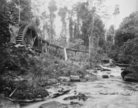 Mt Tamborine water wheel, Queensland, 1892. Creator: Poul C Poulsen.