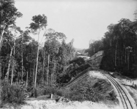 Toowoomba Range New Track, c1894. Creator: Poul C Poulsen.