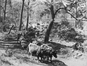 Upper Albert The last crossing, 1894. Creator: Poul C Poulsen.