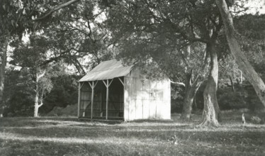 Opening of the tram service to The Spit, 1900. Creator: Unknown.