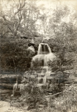 Waterfall, Mosman Bay. Creator: Unknown.