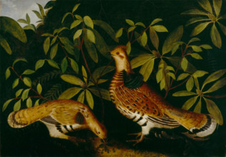Two Ruffed Grouse in Underbrush, 1864. Creator: Rubens Peale.