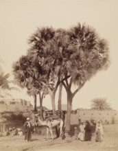 View of an Egyptian Village, 19th century. Creator: Anon.