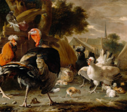 Poultry Yard, c1668. Creator: Melchior d'Hondecoeter.
