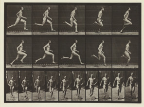 Plate #60, Animal Locomotion, no date [1884-1885]. Creator: Eadweard J Muybridge.