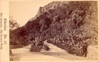 Gibraltar, The Alameda, The Lover's Walk, 19th century. Creator: Anon.