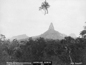 Glasshouse Mountains, Ngungun, Coonowrin and Tibberoowuccum, 1894. Creator: Unknown.