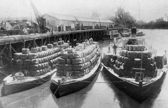Paddle steamers and barges carrying wool bales - unknown location. Creator: Unknown.