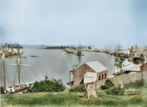 View along the Brisbane River, 1873. Creator: Unknown.