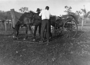 Horse & Cart, 1926. Creator: Jack Bain.