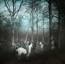 Country road with horses and carriage, possibly Ireland, c1890s. Creator: Robert Augustus Henry L'Estrange.