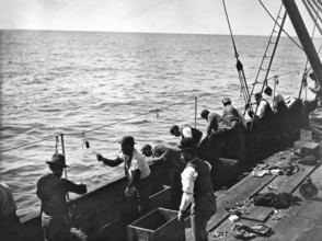 Snapper fishing, Moreton Bay, Queensland, c1900s. Creator: Robert Augustus Henry L'Estrange.