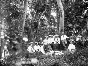 Rainforest picnic, possibly Gold Coast hinterland, 1885. Creator: Robert Augustus Henry L'Estrange.