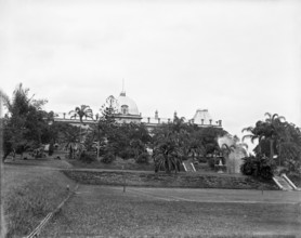 Brisbane City Botanic Gardens, 1910. Creator: Robert Augustus Henry L'Estrange.
