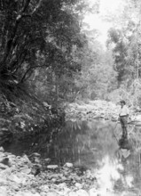 Possibly Coomera River - Upper Commera (Frederick John Walker), c1880s. Creator: Robert Augustus Henry L'Estrange.