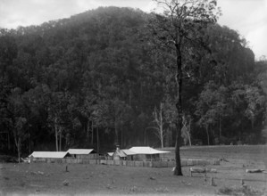 Robert Augustus Henry L'Estrange's "Homestead" Canungra, c1880s. Creator: Robert Augustus Henry L'Estrange.