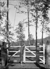 Fredrick George Walker & unknown boy, c1900s. Creator: Robert Augustus Henry L'Estrange.