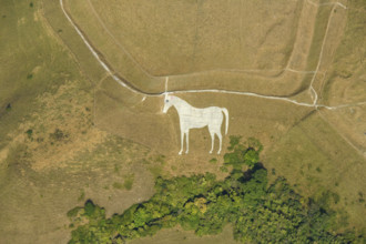 The Westbury White Horse, a chalk hill figure on Bratton Castle hillfort, Westbury, Wiltshire, 2022. Creator: Damian Grady.