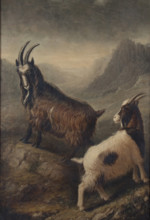 Two Welsh Goats, 1835. Creator: William Shiels.
