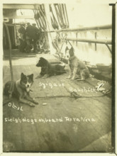 Terra Nova, Antartic Expedition, c1913. Creator: Unknown.