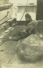 Terra Nova, Antartic Expedition, 1913. Creator: Unknown.