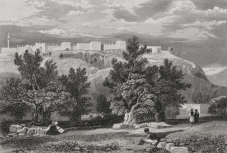 Garden of Olives, Jerusalem, 1840. Creator: Aubert.
