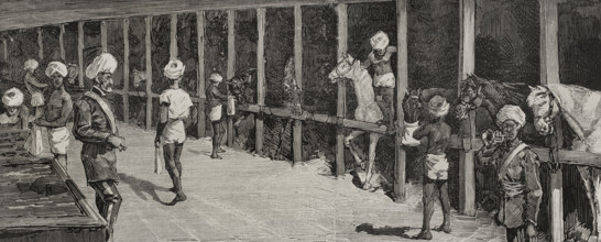 Second Afghan War (1878-1880): Transfer of a Bengal cavalry regiment from Malta to Bombay...1878.  Creator: Bernardo Rico.