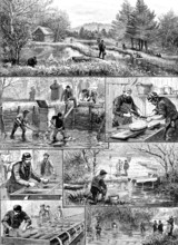 Fish-breeding; a Surrey trout-farm, 1890. Creator: Unknown.