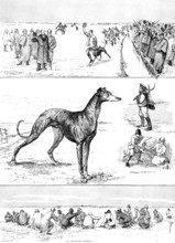 Sketches at the Waterloo Cup Meeting, 1890. Creator: Unknown.