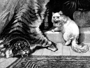 My Noble Kinsman, 1890. Creator: Louis Wain.