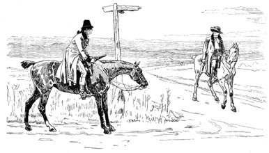 Royal Inst. of Painters in Water Colours: "Hawks Dinna Pike Out Hawks’ Een" - J. C. Dollman, 1890. Creator: Unknown.