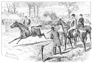 Advertisement for Elliman's Embrocation, 1890.  Creator: William Stanfield Sturgess.