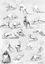 Nature's Fitful Moments: sketches at the Kennel Club Dog Show, 1890. Creator: Carl Hentschel.