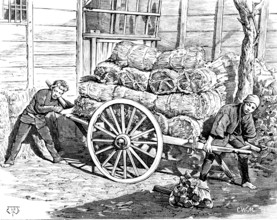 Street sketches in Tokio, Japan: charcoal carriers, 1890. Creator: Unknown.