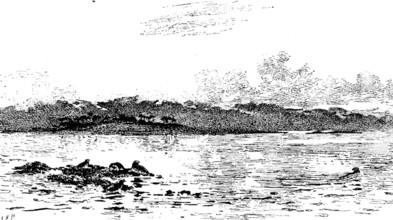 The Seals’ Sanctuary, Colin Hunter, A.R.A. - Royal Academy, 1890.  Creator: Carl Hentschel.