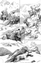 Ibex-shooting in the Shigar Nullahs, Baltistan, Himalayas, 1890. Creator: Unknown.