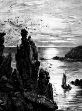 There in the dying light the puffins swam...and seagulls screamed...overhead, 1890. Creator: R. Taylor.