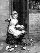 Ducks and Green Peas - by Miss E. Mitchell, 1890. Creator: R. Taylor.