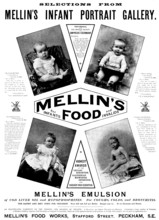 Advertisement for Mellin's Food for Infants and Invalids, 1895. Creator: Unknown.