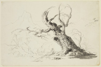 Large Gnarled Tree with Bearded Man Seated Below, between 1820 and 1848. Creator: Thomas Cole.