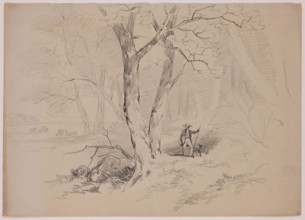 Man and Dog in the Woods, 19th century. Creator: John William Casilear.