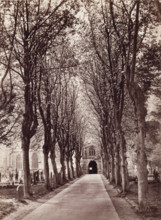 Avenue to the Church, Stratford on Avon, between 1870 and 1880. Creator: Francis Bedford.