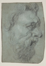 Head of a Man Facing Right, between 17th and 18th century. Creator: Unknown.