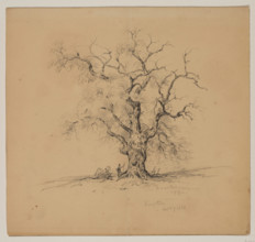 Oak Tree, Kingston, September 7th, 1838, 1838. Creator: John William Casilear.