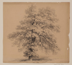 Switzerland, September 15, 1840. Creator: John William Casilear.