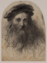 Head of a Bearded Man, late 19th century. Creator: Felix Octavius Carr Darley.