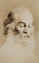 Walt Whitman, c1861. Creator: Unknown.