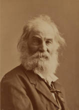 Walt Whitman, 1871. Creator: J. Gurney & Son.
