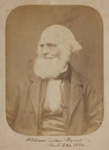 William Cullen Bryant, 1860. Creator: Rintoul & Rockwood.